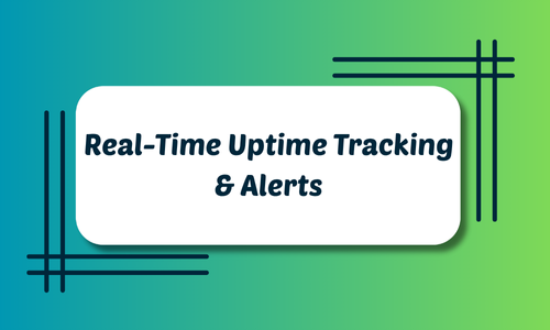 Real-Time Uptime Tracking & Alerts